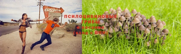 бошки Абдулино