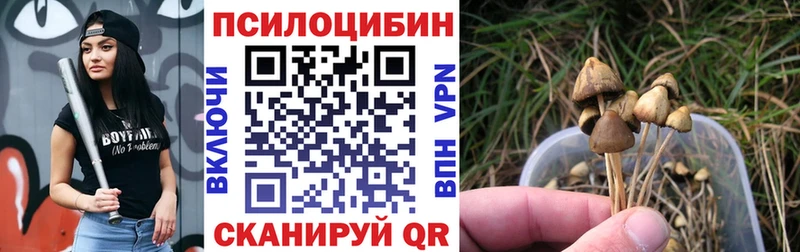 Псилоцибиновые грибы ЛСД  Липецк 
